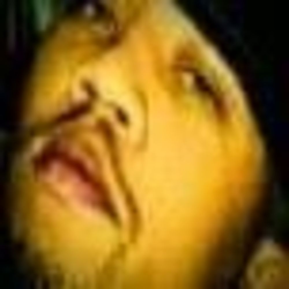 Meet your Posher, Hans